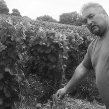 Charger l'image dans la galerie, Cuvée Rosé de Saignée Extra Brut Bio - Champagne Christophe LEFEVRE