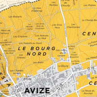 Charger l'image dans la galerie, Avize Grand Cru Côte des Blancs cartonnée