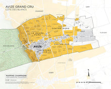 Load image into Gallery viewer, Avize Grand Cru Côte des Blancs