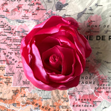 Charger l&#39;image dans la galerie, rose [de vigne] collection rose Centifolia
