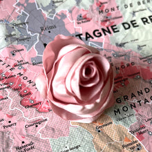 Charger l&#39;image dans la galerie, rose [de vigne] collection épinglette Centifolia
