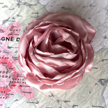Charger l&#39;image dans la galerie, rose [de vigne] collection grande rose Centifolia
