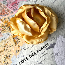 Charger l&#39;image dans la galerie, rose [de vigne] collection grande rose Centifolia
