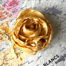 Charger l&#39;image dans la galerie, rose [de vigne] collection rose Centifolia
