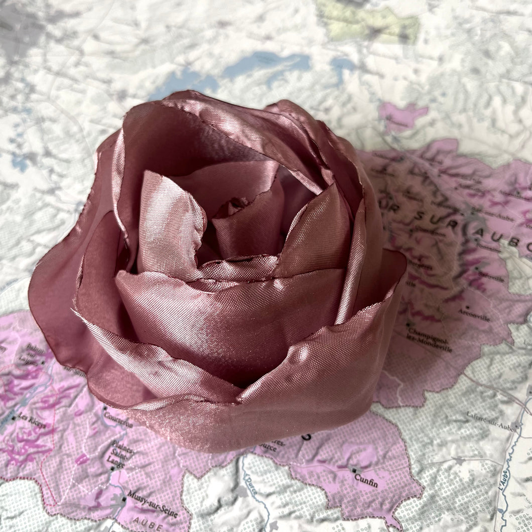 rose [de vigne] collection grande rose Centifolia