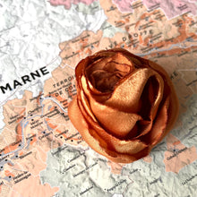 Charger l&#39;image dans la galerie, rose [de vigne] collection petite rose Centifolia
