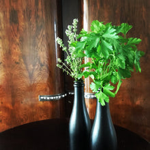 Charger l&#39;image dans la galerie, le petit bouquet d&#39;herbes aromatiques Bio en direct de la ferme
