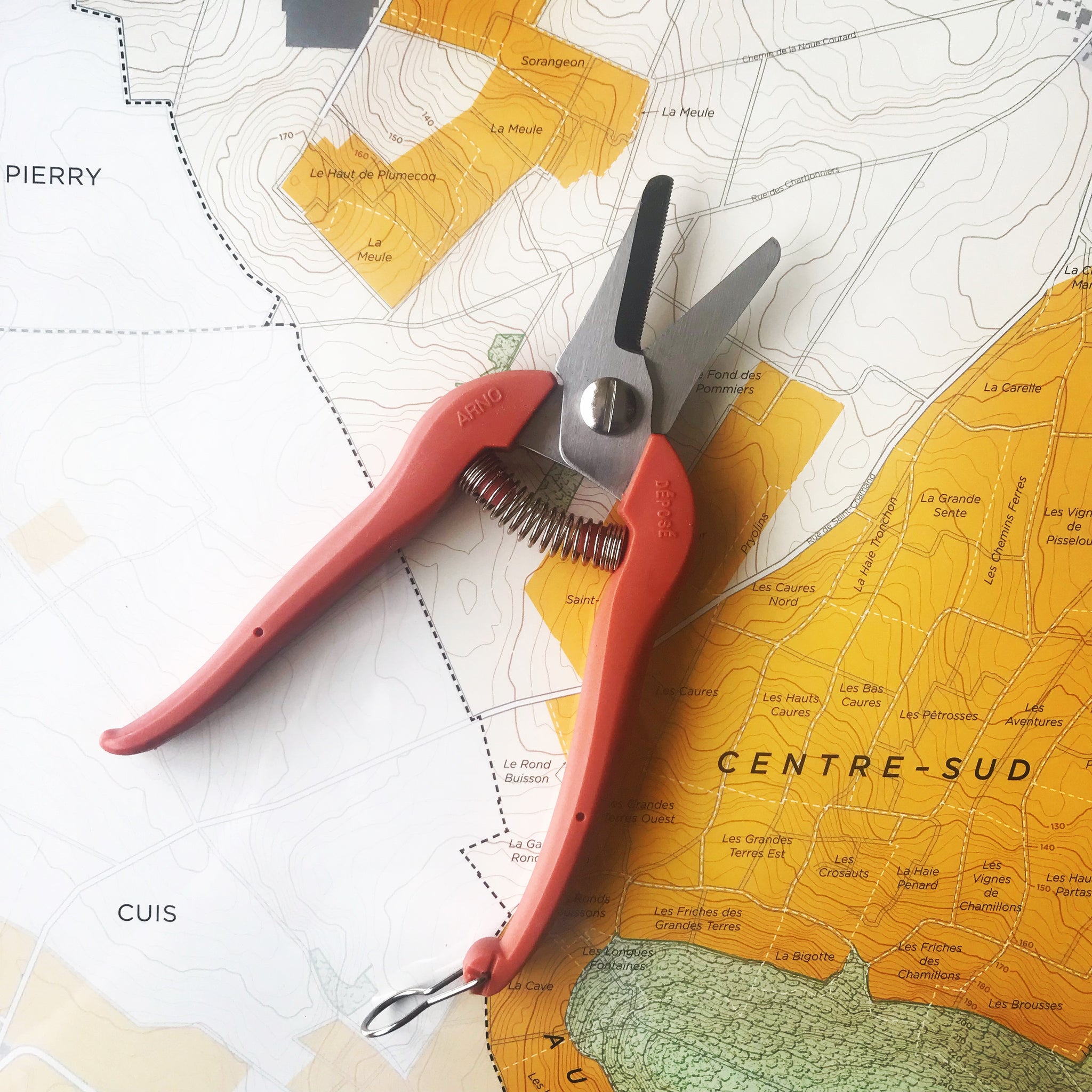 Épinette à Vendange Berger - Longueur 200 Mm - Poignées Gainées Anti-froid - Pour Récolte Raisins, Petits Fruits - Outil Viticole Léger